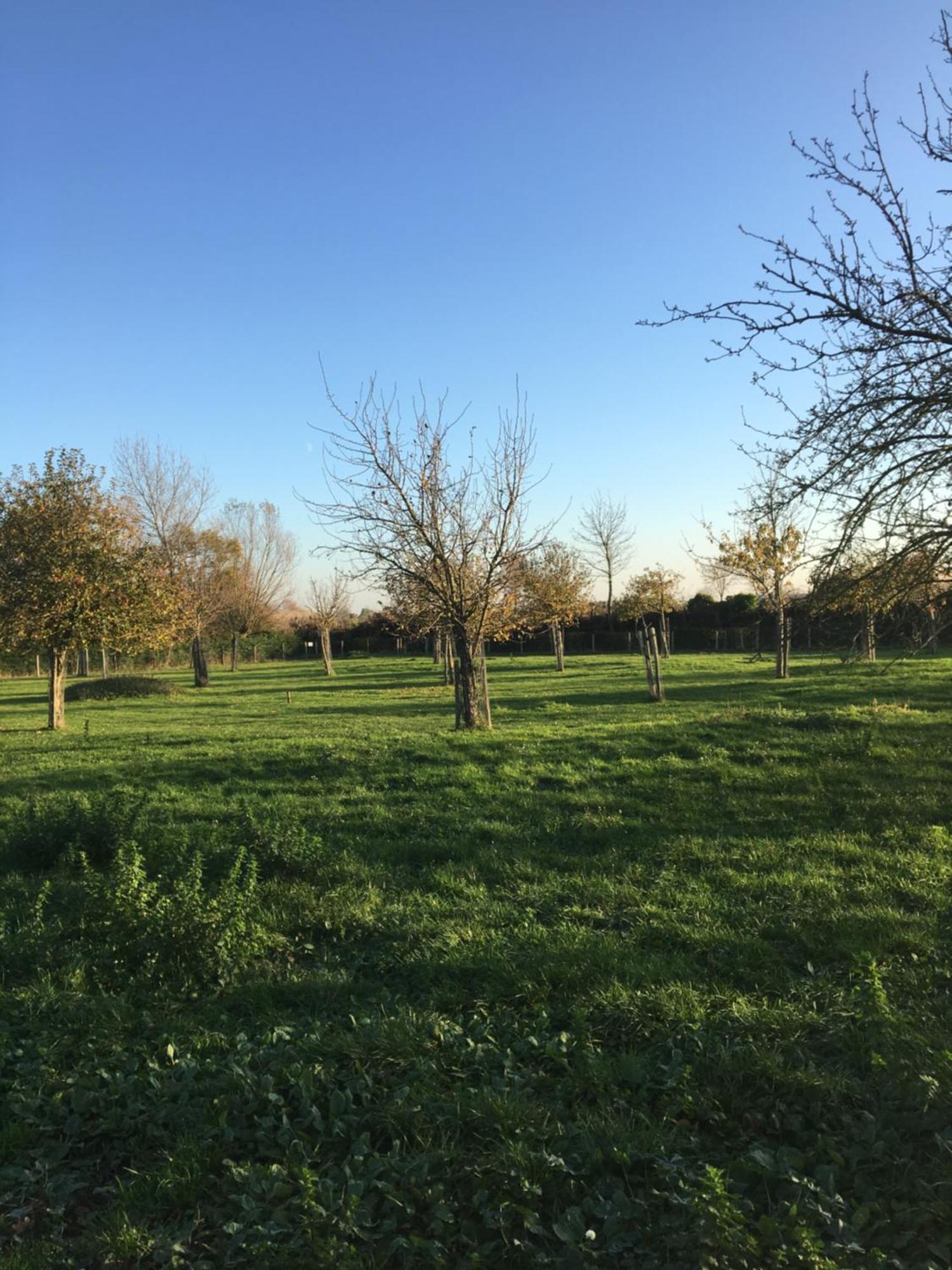 Het Landhuis Oostkapelle Bagian luar foto