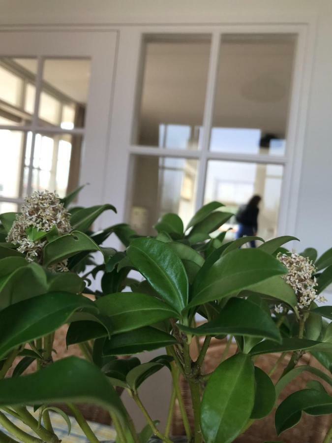 Het Landhuis Oostkapelle Bagian luar foto